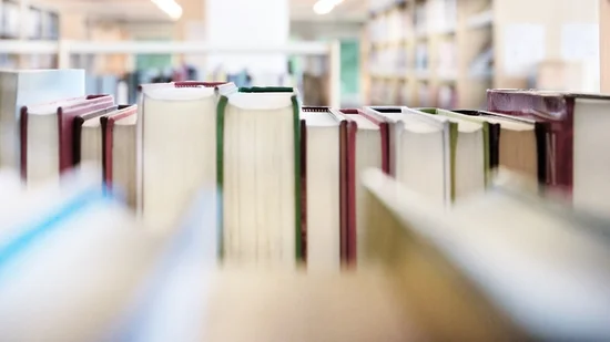 Publikationen der Lehrstühle (© Adobe Stock)