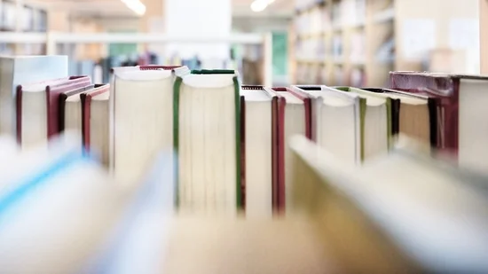 Publikationen der Lehrstühle (© Adobe Stock)
