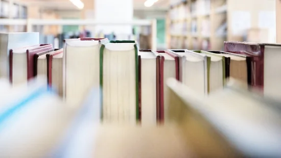 Publikationen der Lehrstühle (© Adobe Stock)