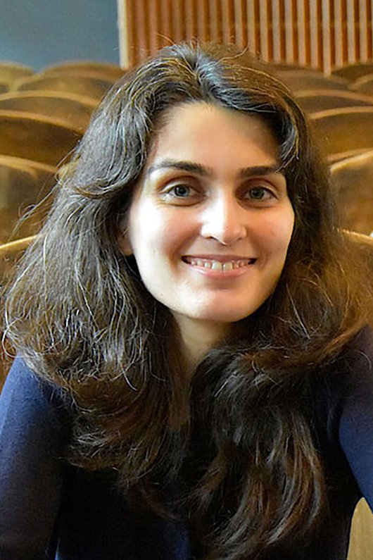 Prof. Dr.-Ing. Setareh Maghsudi