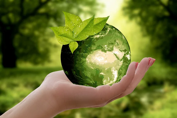 Gemeinsam für mehr Nachhaltigkeit: Scientists4Future