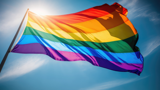 Dezentrale Diversitätsbeauftragte (© Adobe Stock)