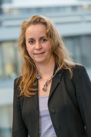 Prof. Dr.-Ing. Ilona Rolfes Prof. Dr.-Ing. Ilona Rolfes