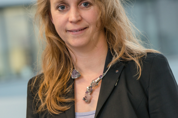Prof. Dr.-Ing. Ilona Rolfes