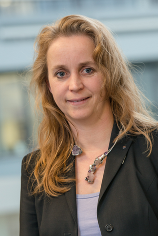 Prof. Dr.-Ing. Ilona Rolfes