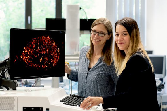 Innovationspreis erhalten