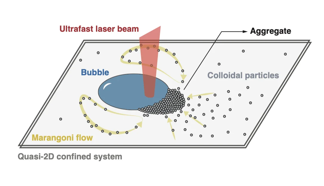The schematic representation of ultrafast laser-driven dissipative colloidal system (DCC)