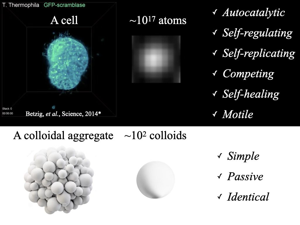 Visualisation of the idea that characteristics commonly associated with living systems can also emerge from the collective behaviour of inanimate objects.