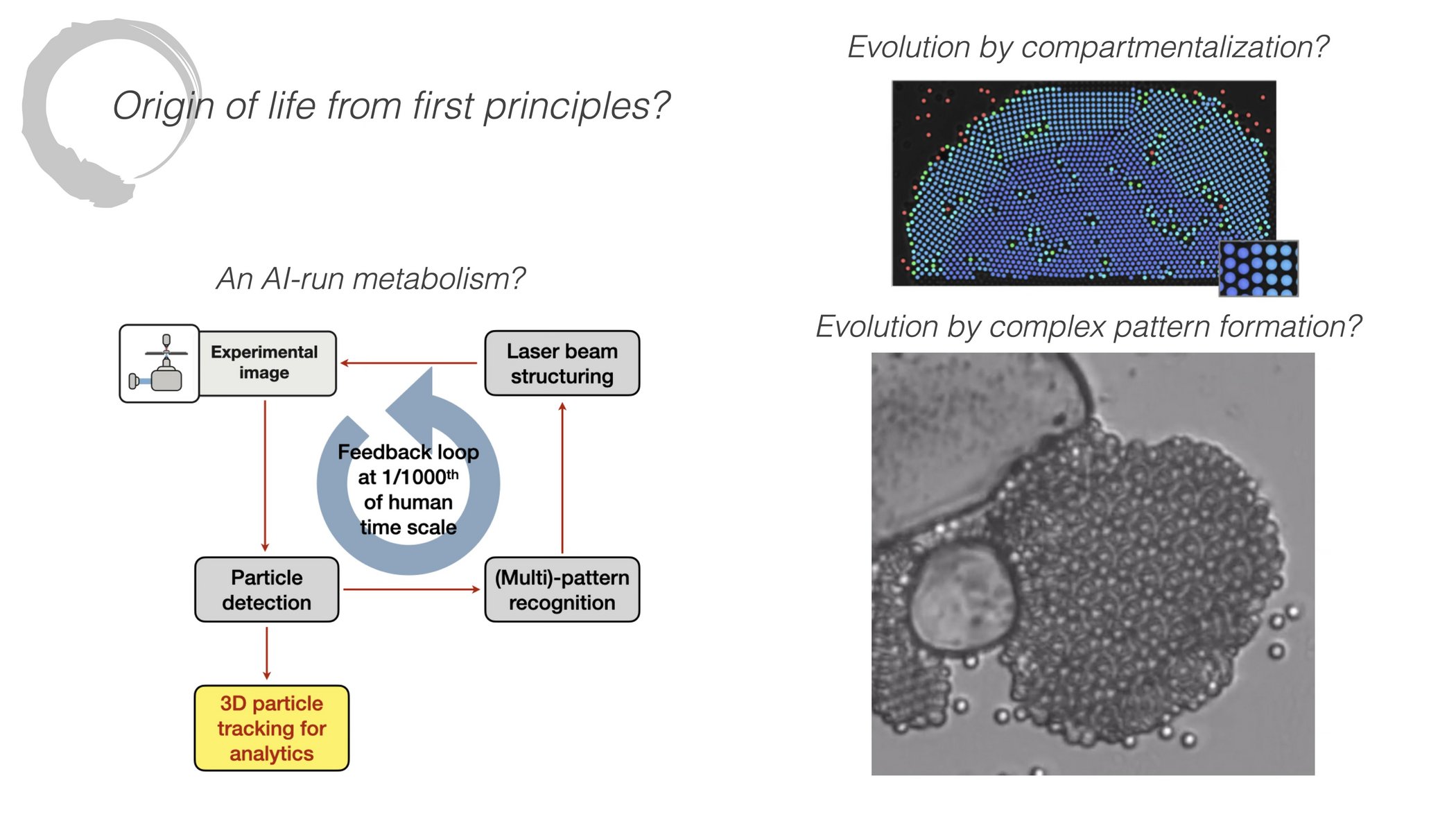 Sketch illustrating how a synthetic system's metabolism and evolution can be interpreted and analysed.