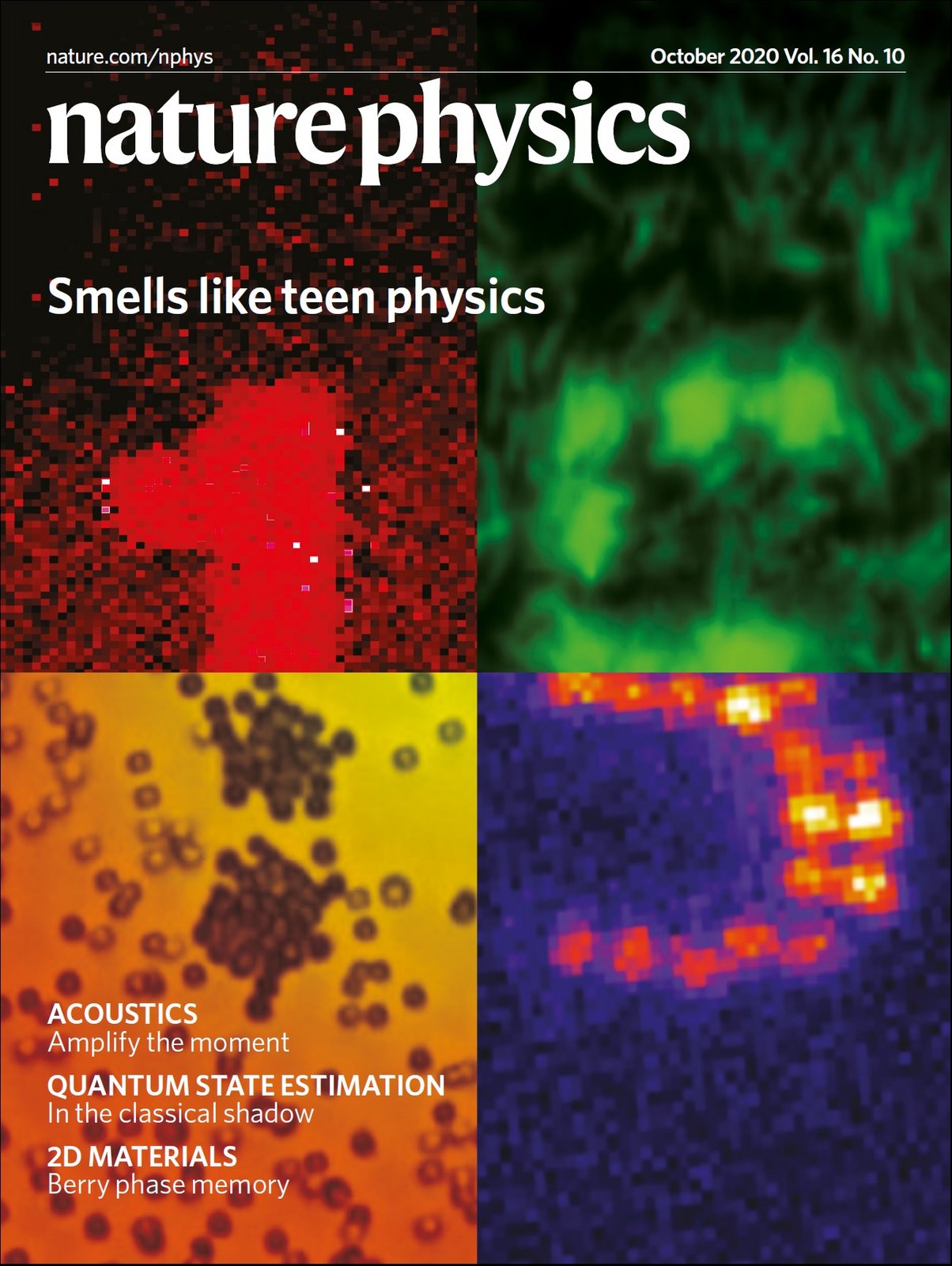Nature Physics Cover October 2020